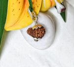 15 Mukhi Java Indonesia