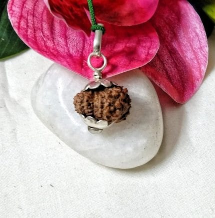 15 Mukhi Java Indonesia