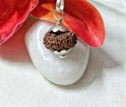 15 Mukhi Java Indonesia