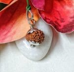 15 Mukhi Java Indonesia