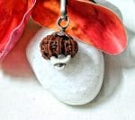 15 Mukhi Java Indonesia