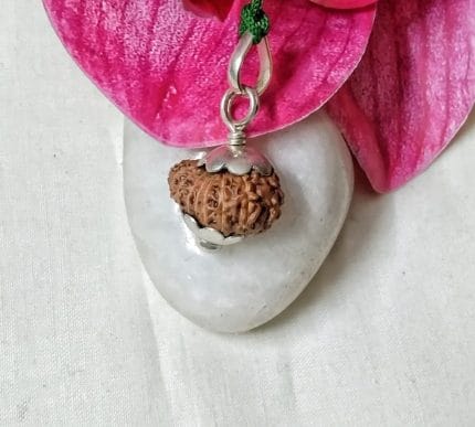 15 Mukhi Java Indonesia