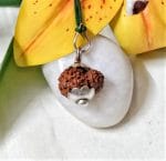 15 Mukhi Java Indonesia
