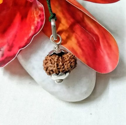 15 Mukhi Java Indonesia