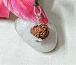 15 Mukhi Java Indonesia