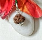 15 Mukhi Java Indonesia