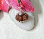 15 Mukhi Java Indonesia