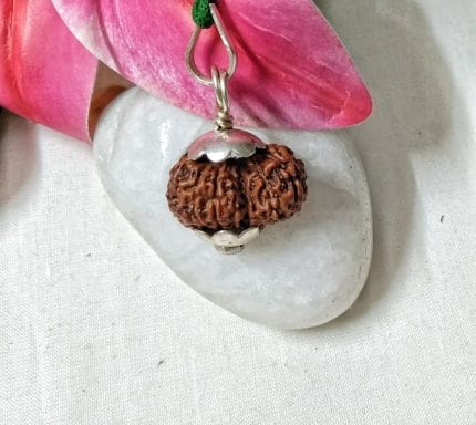 15 Mukhi Java Indonesia