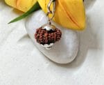 Fifteen Mukhi Java Indonesia