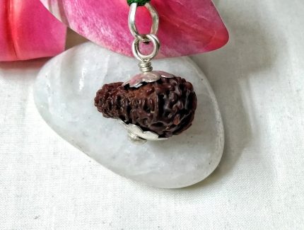 15 Mukhi Java Indonesia