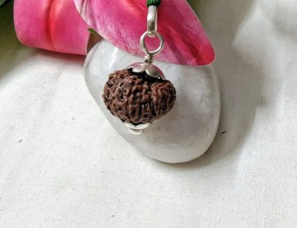 15 Mukhi Java Indonesia