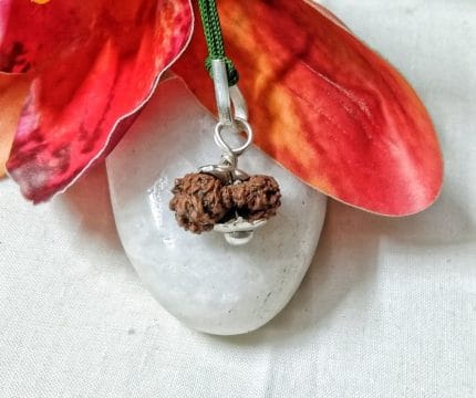 15 Mukhi Java Indonesia