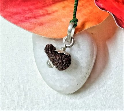 15 Mukhi Java Indonesia