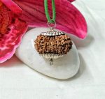 15 Mukhi Nepal