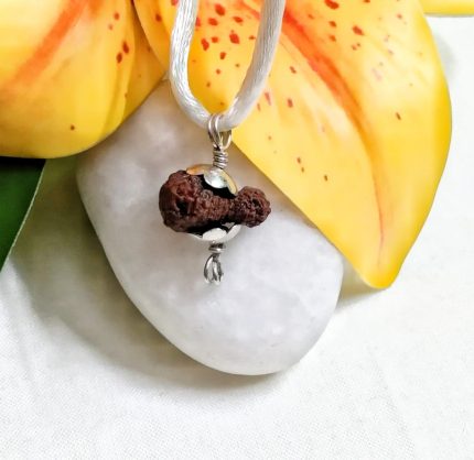 Eighteen Mukhi Java Indonesia