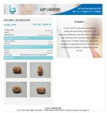 16 Mukhi Certificate