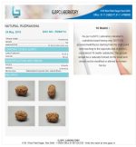 16 Mukhi Certificate