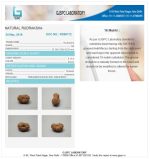 16 Mukhi Certificate