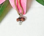 20 Mukhi Rudraksha