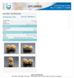 17 Mukhi Certificate