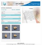 17 Mukhi Certificate