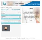 17 Mukhi Certificate