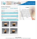 17 Mukhi Certificate