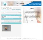 17 Mukhi Certificate