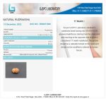 17 Mukhi Certificate