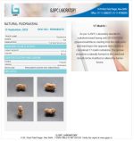 17 Mukhi Certificate