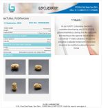 17 Mukhi Certificate