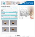 17 Mukhi Certificate