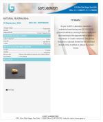 17 Mukhi Certificate