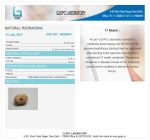 17 Mukhi Certificate