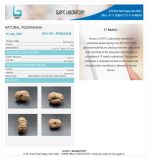 17 Mukhi Certificate