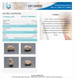 17 Mukhi Certificate