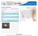 17 Mukhi Certificate