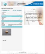 17 Mukhi Certificate