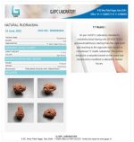 17 Mukhi Certificate