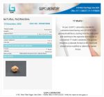 17 Mukhi Certificate