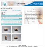 17 Mukhi Certificate