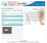 17 Mukhi Certificate