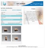 17 Mukhi Certificate