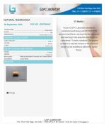 17 Mukhi Certificate