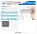 17 Mukhi Certificate