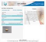 17 Mukhi Certificate