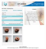 17 Mukhi Certificate