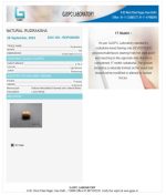 17 Mukhi Certificate