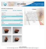 17 Mukhi Certificate