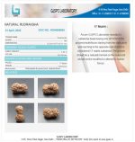 17 Mukhi Certificate